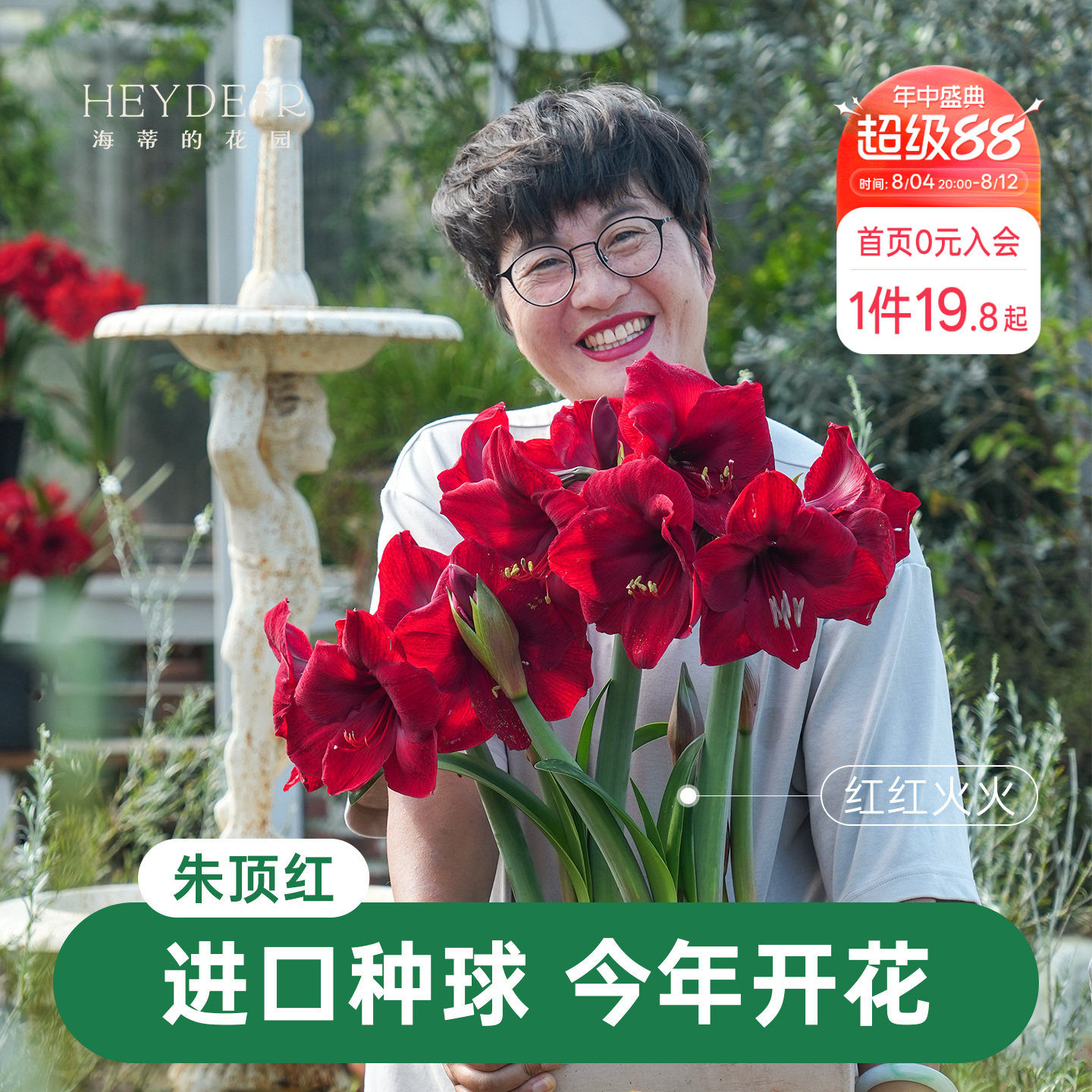 【小红书10万人种草】进口朱顶红