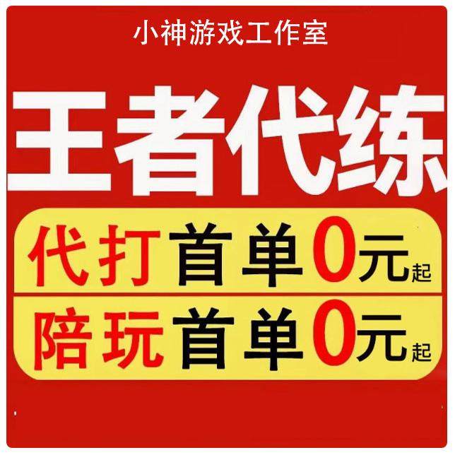 王者荣耀代练陪练代打排位战力巅峰赛随机省标金牌任意小国标包标