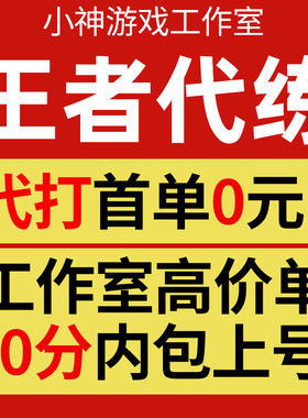 王者荣耀代练陪练代打排位战力巅峰赛随机省标金牌任意小国标包标