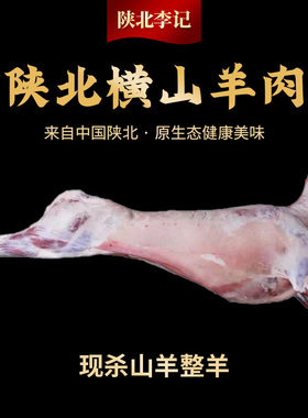 陕北横山现杀新鲜现杀整只羊 半扇子山羊肉礼盒包装顺丰包邮