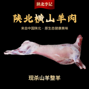 陕北横山现杀新鲜现杀整只羊 半扇子山羊肉礼盒包装顺丰包邮