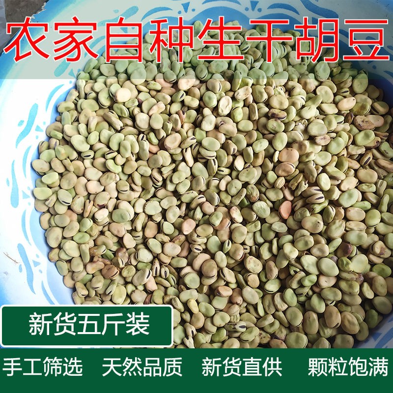 四川重庆生干胡豆新货5斤蚕豆罗汉豆重庆农家 小胡豆新鲜蚕豆种