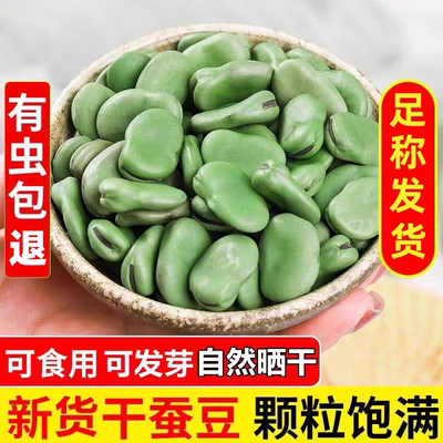 精选新货5斤装绿皮干蚕豆生的绿胡豆可发芽做油炸罗汉豆莲花豆