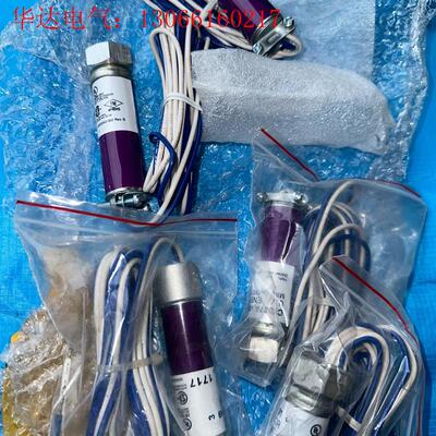 C7027A1023进口C7027A1031火焰探测器H(请询价)