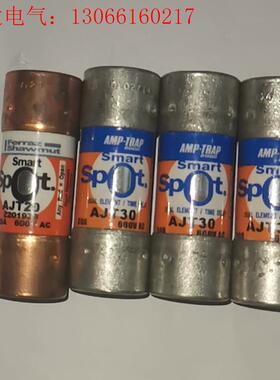 AJT 20,AJT 30 熔断器,600V。。(请询价)