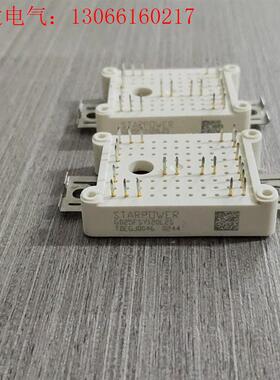 BG60F07M10S5 GD50FSX65L2S GD30(请询价)