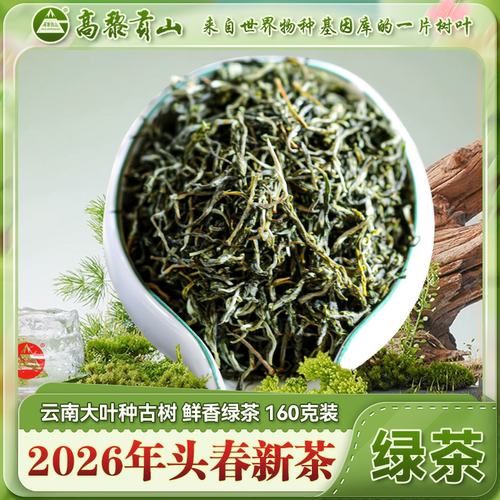 2026年新茶明前古树绿茶高黎贡山