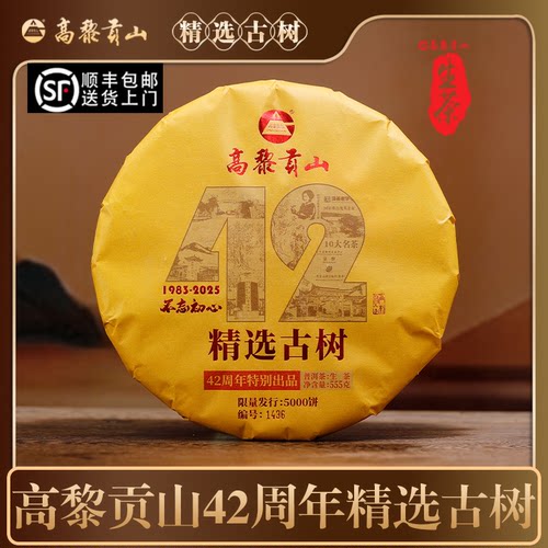 2025新茶42周年古树头春普洱生茶