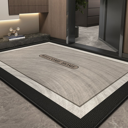 高端入户门地垫新款门垫门口进门脚垫地毯家用入门大门垫子可定制