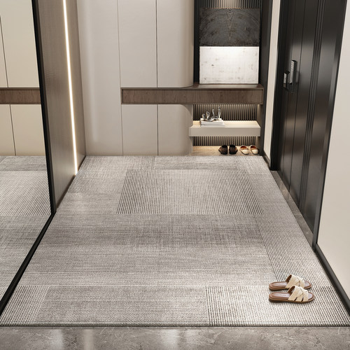 新款入户门口地垫别墅进门高级感地毯免洗入门耐脏入户门脚垫门垫