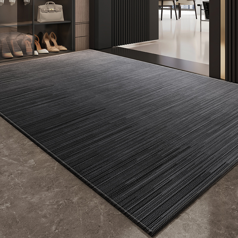 门口地垫入户门垫2025新款进门入门玄关地毯免洗耐脏室内防滑脚垫
