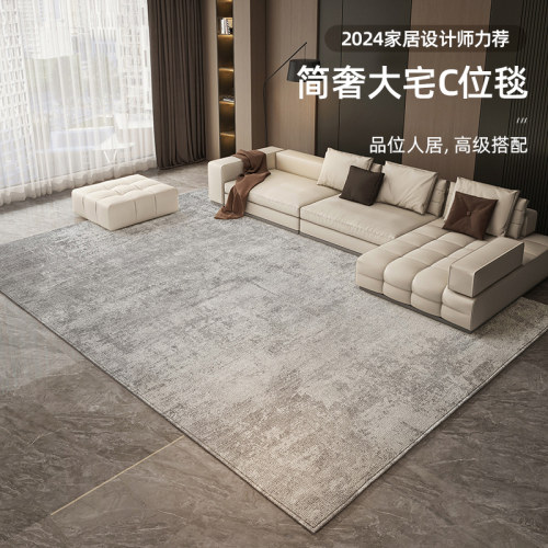 客厅垫防水抗污加密绒毛加密点塑