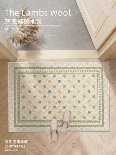 采购产品入口门地垫，入口门垫，简单的现代可访问的豪华家庭室内