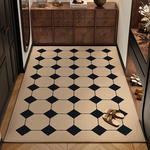 2026新款耐脏入户门专用脚垫子轻奢免洗可擦客厅卧室门口地垫地毯