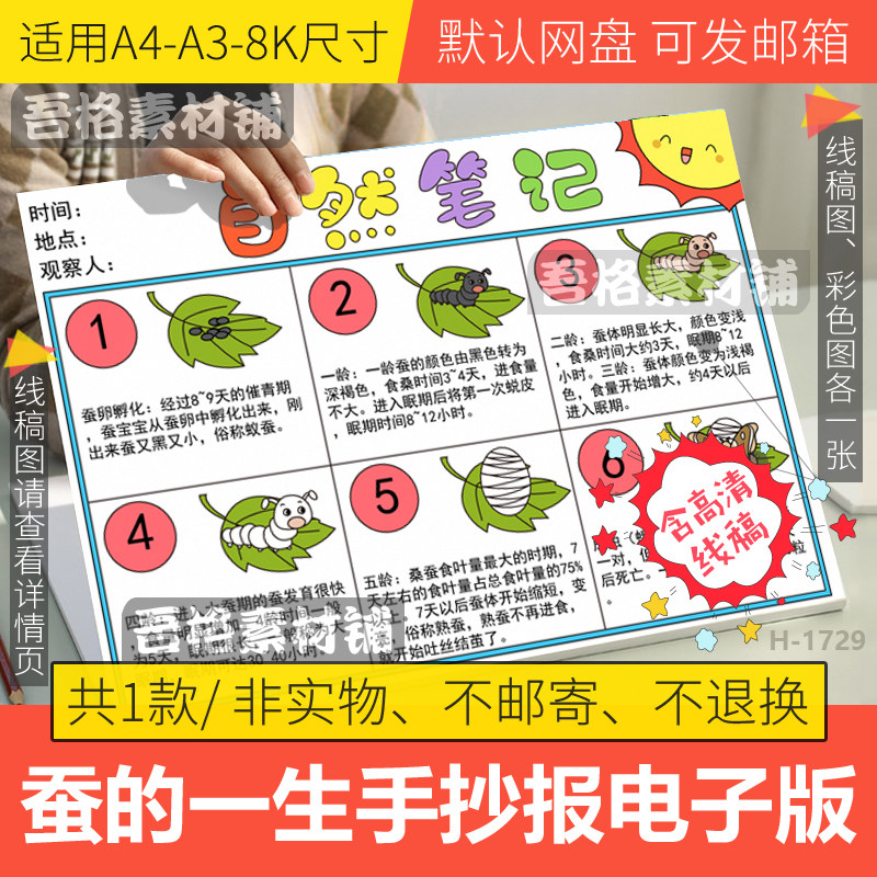 自然笔记手抄报模板电子版小学生蚕的一生长记录手抄报线稿a3a48k
