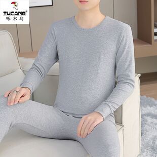 纯棉内衣套装 青年男士 全棉秋衣秋裤 衬衣衬裤 啄木鸟正品 线衣裤 春季