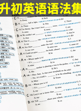 小升初英语语法集训三四五六年级小学英语语法专项训练题117个知识点大全系统总复习人教版英语句子训练英语阅读理解强化练习题册