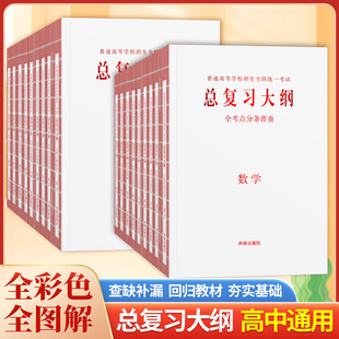 2026新高考总复习大纲全考点分条普查高中语文古诗文数学英语化学生物政治历史地理全科五年高考三年模拟新高考总复习考纲攻略大全