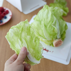 小红书同款创意可食用糯米纸翻糖佩斯生菜生财蛋糕装饰甜品包装盒