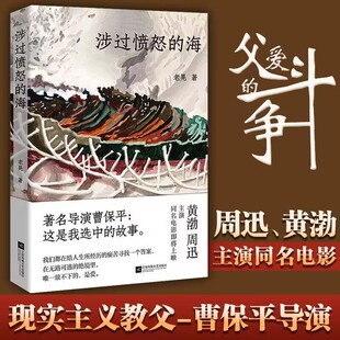 正版 涉过愤怒的海 老晃著 周迅黄渤主演 曹保平执导同名电影原著灼心系列新作 现实主义犯罪小说影视同期书 浮冰鹈鹕小姐三部小说