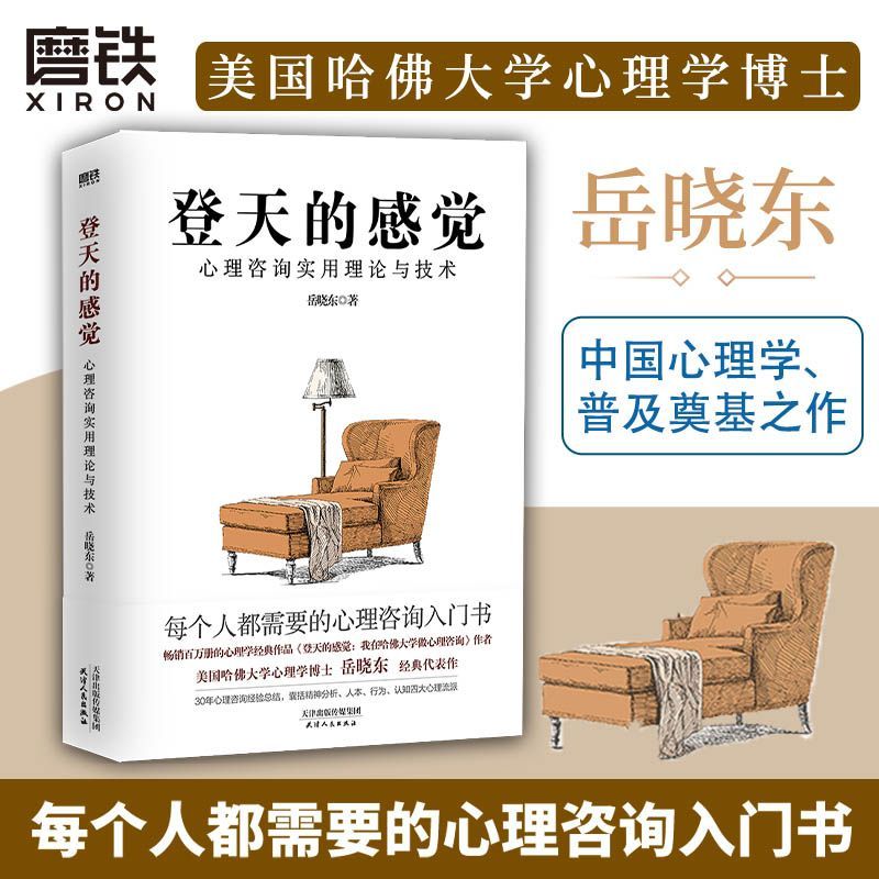 正版 登天的感觉 心理咨询实用理论与技术 岳晓东 成长心理学心理咨询的环境管理技术关系确立技术会面接待技术等
