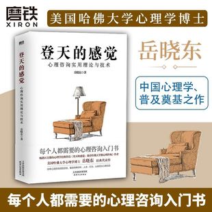 正版 登天的感觉 心理咨询实用理论与技术 岳晓东 成长心理学心理咨询的环境管理技术关系确立技术会面接待技术等