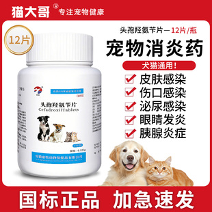 头孢羟氨苄片宠物狗狗猫咪犬用脓皮症伤口消炎感冒药尿路感染尿血
