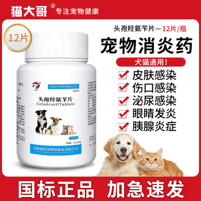 头孢羟氨苄片宠物狗猫犬用脓皮症