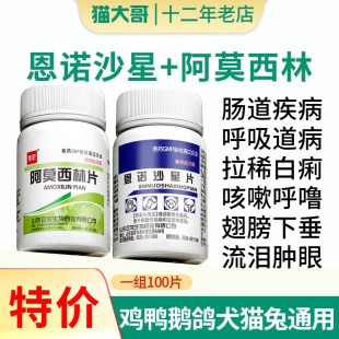 恩诺沙星兽用鸡药片养鸡专用药鸡鸭鹅咳嗽拉稀阿莫西林鸡用消炎药