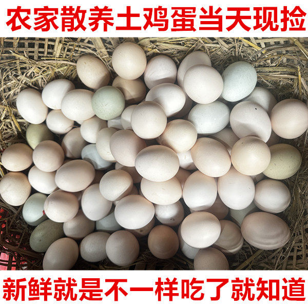 60枚江西农家散养土鸡蛋农村散养红心草鸡蛋五谷新鲜生态当天现捡