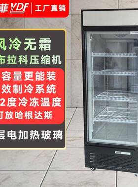 商用冷冻柜立式冷冻展示柜速冻肉类冻品门立式冰箱低温冰柜