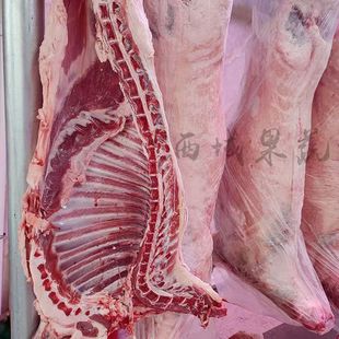 新疆柯坪恰玛古黄红萝卜白洋葱塔城羊排手抓饭炖羊肉食材套餐顺丰