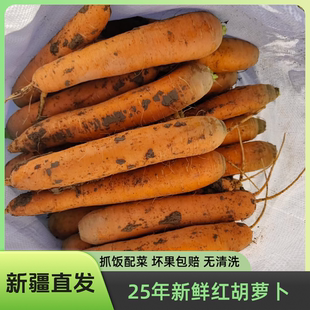 红萝卜新鲜新疆胡萝卜手抓饭专用宝宝辅食新鲜蔬菜萝卜包邮