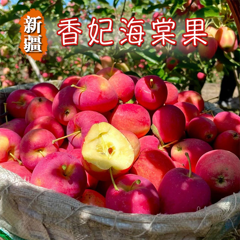 新疆香妃海棠果小红苹果3斤顺丰