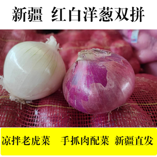 新疆带甜味红白洋葱皮牙子5斤组合凉拌生吃新鲜蔬菜圆葱农家自种