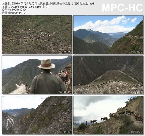 茶马古道马帮长队 悬崖峭壁峡谷里行走 艰难旅途高清实拍视频素材
