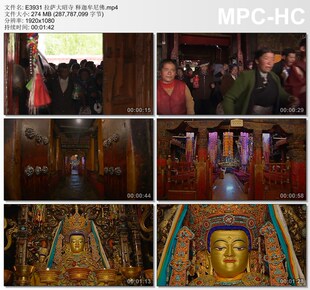 拉萨大昭寺释迦牟尼佛 实拍动态视频素材