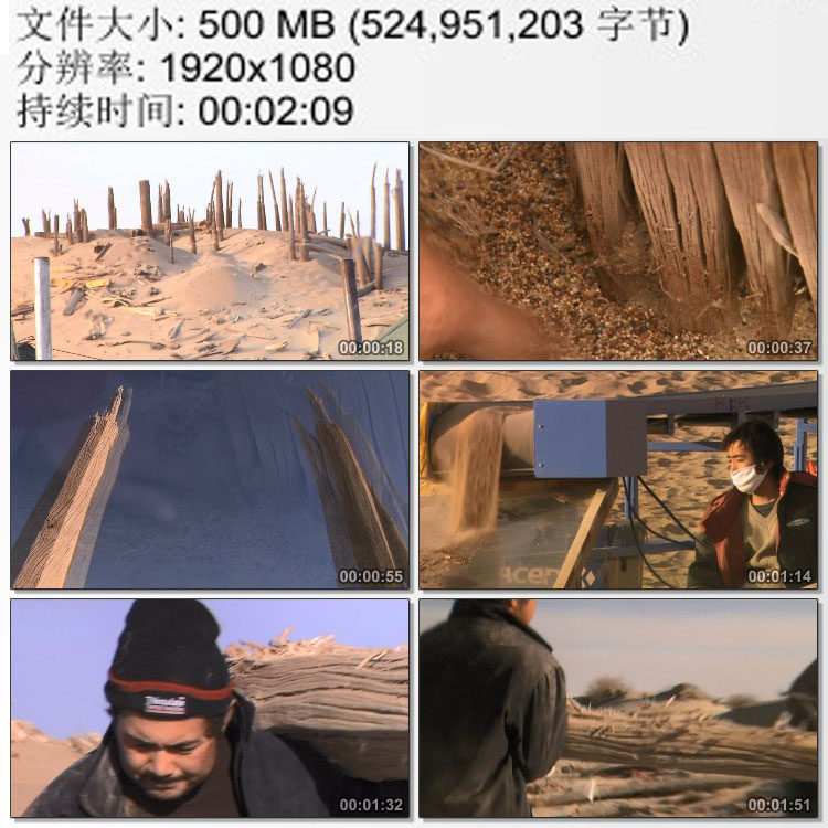 新疆考古所 沙漠考古发掘现场楼兰小河墓地 高清实拍视频素材