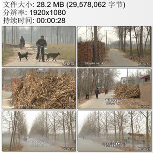 河南农村 乡亲们盼着下雨 抗旱浇麦 实拍动态视频素材