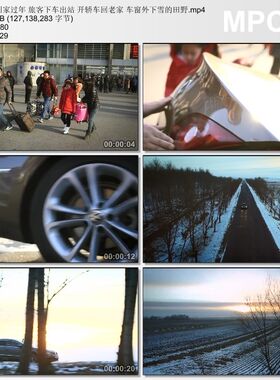 回家过年旅客下车出站 开车回老家 车窗外下雪田野 实拍视频素材