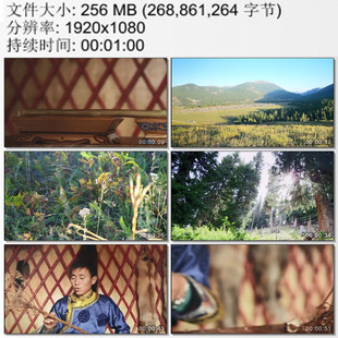 新疆喀纳斯山区唯美草原风光图瓦人的乐器楚吾尔高清实拍视频素材
