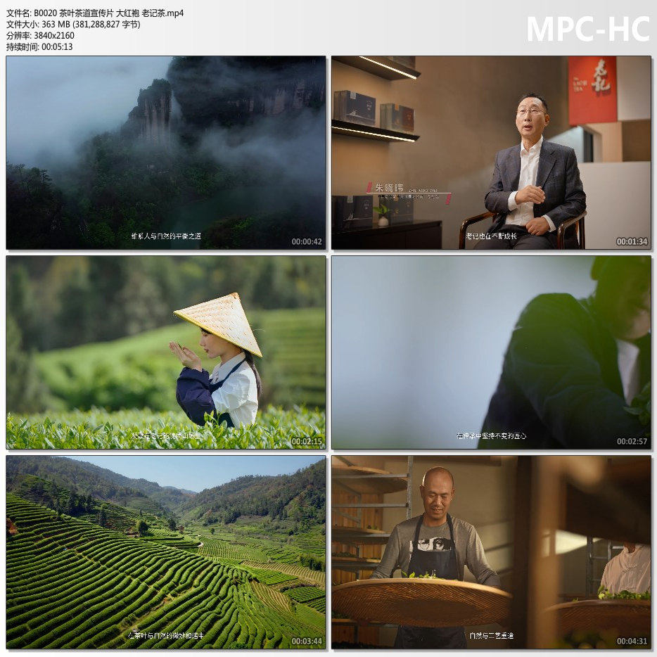 茶叶茶道宣传片广告片 大红袍 设计素材/源文件