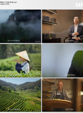 茶叶茶道宣传片广告片 大红袍 老记茶 4K高清短视频剪辑素材