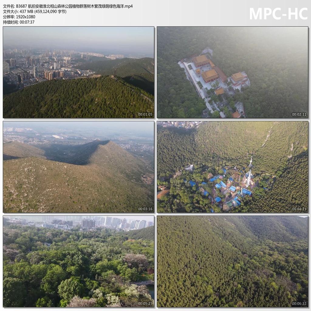 航拍安徽淮北相山森林公园植物群落树木繁茂绿荫绿色高清视频素材
