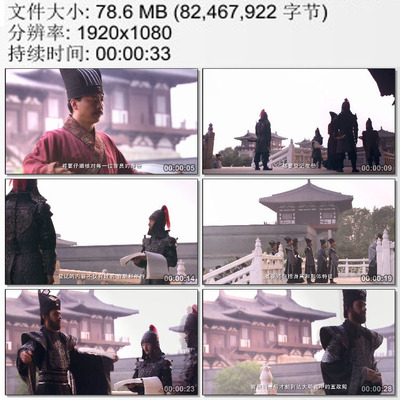 皇家卫队核对上朝官员身份 大明宫 实拍视频素材