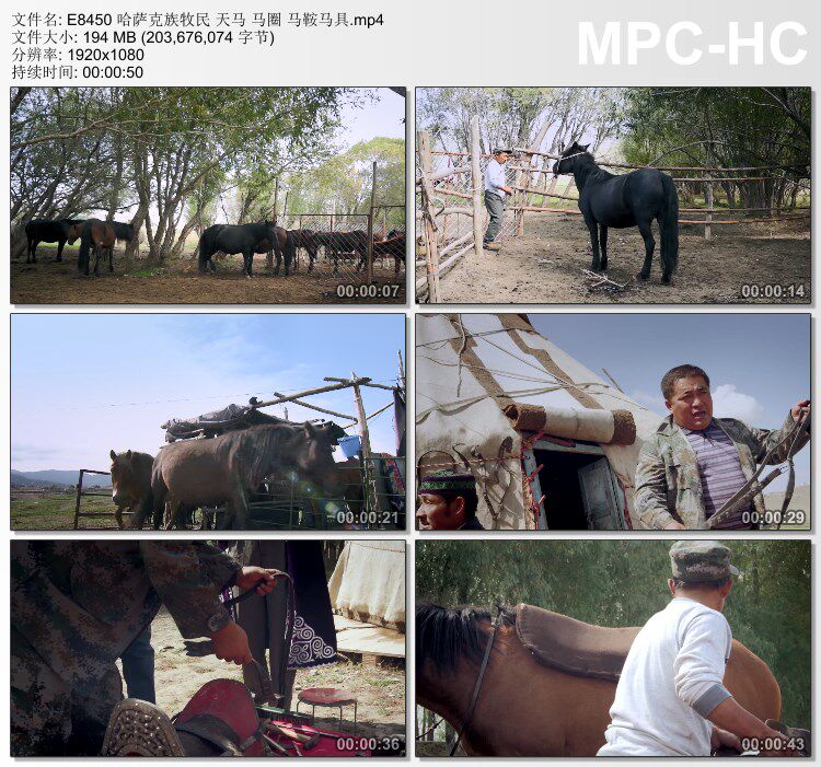 哈萨克族牧民 天马 马圈马鞍马具 实拍动态视频素材