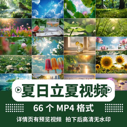 夏天阳光日出向日葵荷花大暑夏日立夏大屏led舞台背景MP4视频素材
