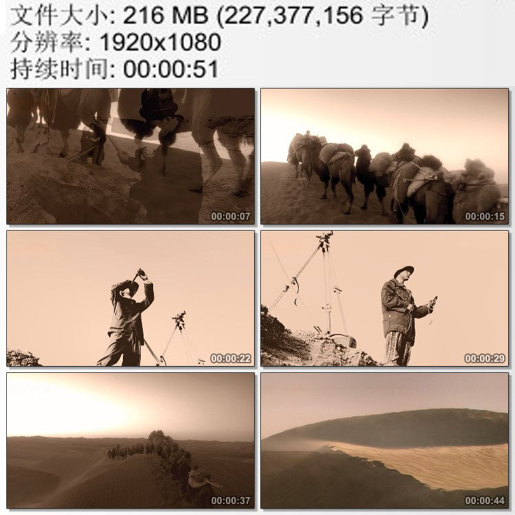 历史影像资料西方各国探险家在新疆沙漠中的考古发掘实拍视频素材