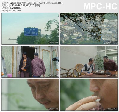 凤凰天池乌岽山脉广东茶乡茶农与茶商 高清视频实拍素材