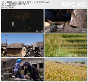 云南哈尼族村寨少数民族妇女儿童水稻梯田高清实拍视频素材